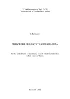 Microsoft Word - titul.doc