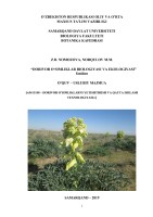DORIVOR O‘SIMLIKLAR BIOLOGIYASI VA EKOLOGIYASI