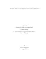 10842790.pdf