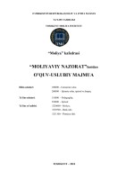 Moliyaviy nazorat
