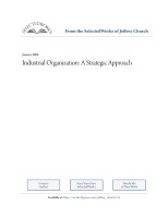 Industrial Organization:  A Strategic Approach