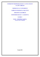 O`ZBЕKISTON RЕSPUBLIKASI OLIY VA O`RTA MAXSUS