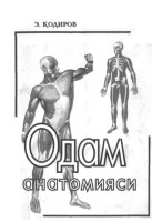 Кодиров Одам анатомияси