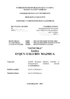 O‘ZBEKISTON RESPUBLIKASI  OLIY VA O‘RTA