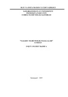 “NAZARIY TILSHUNOSLIK MASALALARI”