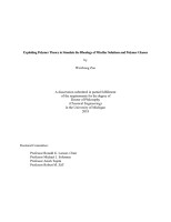 Exploiting_Polymer_Theory_to_S