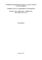 ARMSoatov N., Nabiyev X. Statistika 2011 (2)