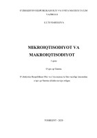 Mikroiqtisodiyot va makroiqtisodiyot 2020