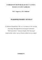 Makroiqtisodiy siyosat (2019)