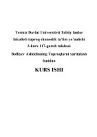 Bolliyev Asliddin kurs ishi
