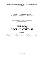Gafurova_L_A_,_Abdraxmanov_T_A_,_Jabbarov_Z_A_,_Turapov_I_T_,_Saidova