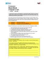 Microsoft Word - carapace_wordwork.doc