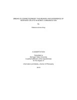 Microsoft Word - Dissertation_rebeccagray_2018_FINAL_rev3.docx