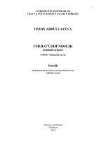 Cholg'ushunostlik Oydin Abdullayev