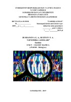 O’ZBEKISTON RESPUBLIKASI OLIY VA O’RTA MAXSUS