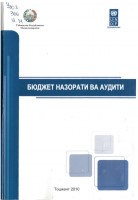 +Бюджет назорати ва аудити (2)