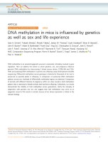 DNA methylation in mice is influenced by genetics as well as sex and life experience